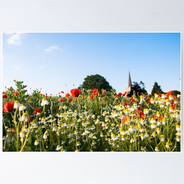 Item preview, Kent in Bloom. designed and sold by David  Howarth.