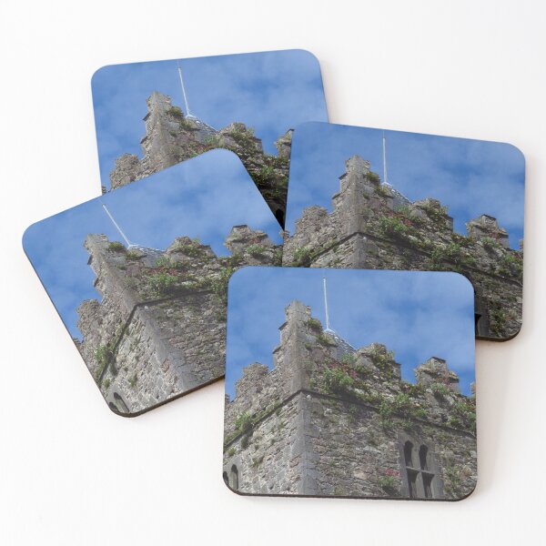 Item preview, Nature's Comback - Blackfriars Abbey, Waterford, Ireland designed and sold by wiggyofipswich.