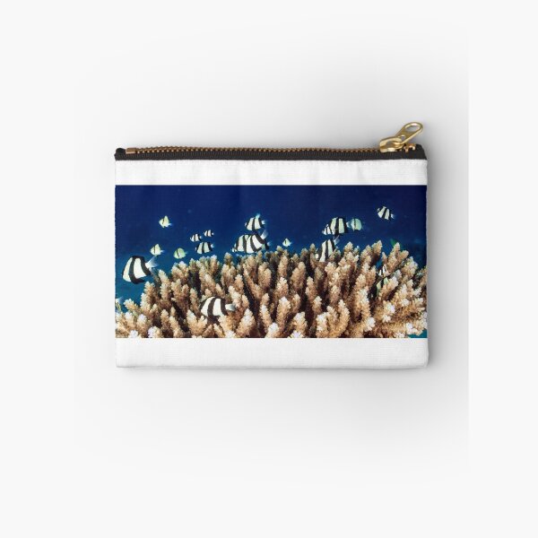 Item preview, Humbug! designed and sold by David Wachenfeld.