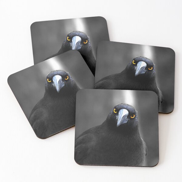 Item preview, Currawong Gothica designed and sold by Larry Davis.