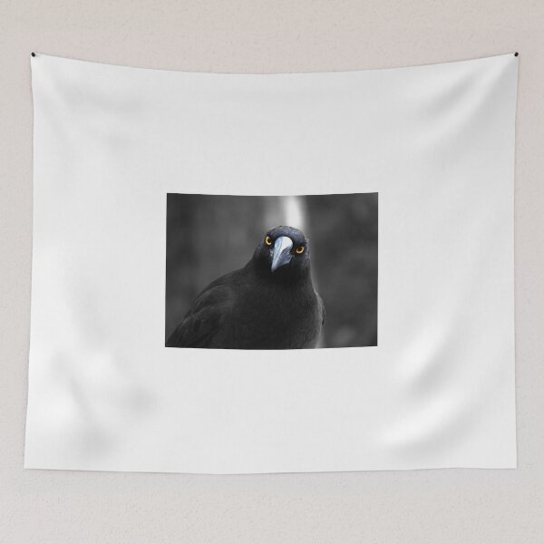 Item preview, Currawong Gothica designed and sold by Larry Davis.