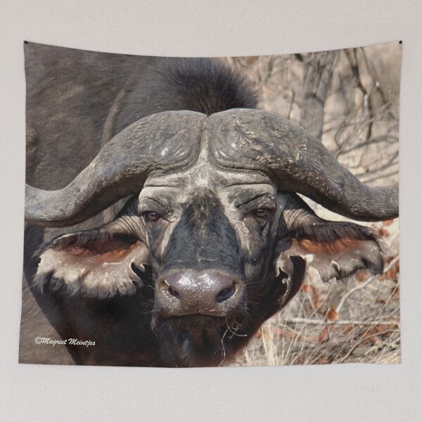 Aperçu de l'œuvre "IN PORTRAIT" LE BUFFALO - * Syncerus caffer * créée et vendue par Magriet Meintjes.