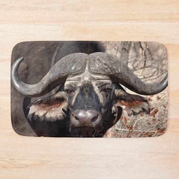 Aperçu de l'œuvre "IN PORTRAIT" LE BUFFALO - * Syncerus caffer * créée et vendue par Magriet Meintjes.