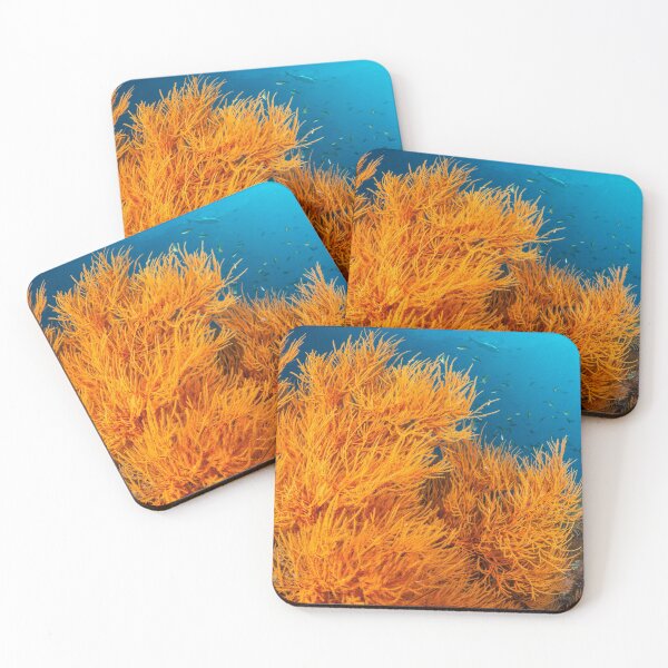 Item preview, Black coral designed and sold by David Wachenfeld.