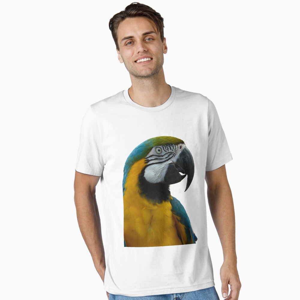 Blue yellow macaw