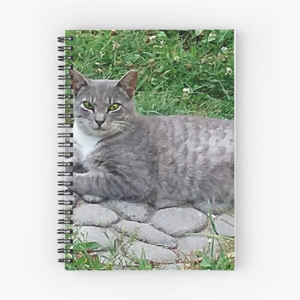 Item preview, A Spotted Tabby Cat designed and sold by Jane Neill-Hancock.