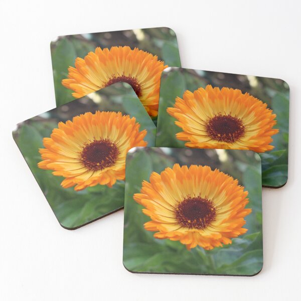 Item preview, orange daisy designed and sold by LeighsDesigns.