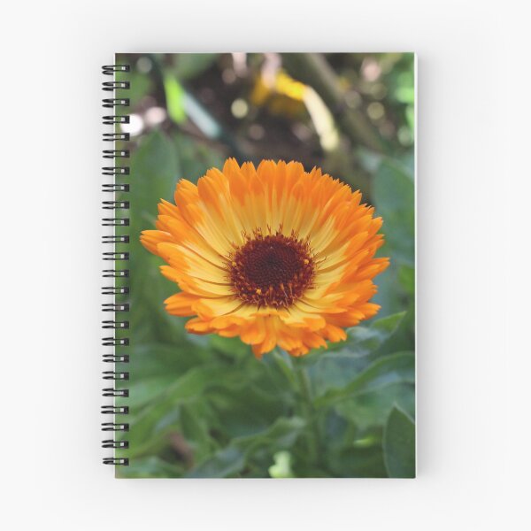 Item preview, orange daisy designed and sold by LeighsDesigns.