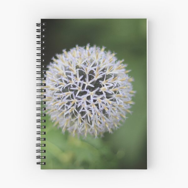 Item preview, ¿Cómo crece tu jardín? designed and sold by Seashorepics.