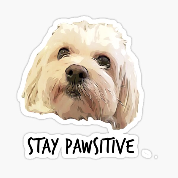 Stay Pawsitive Sticker