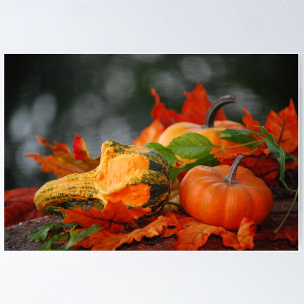 Item preview, Springing into Fall designed and sold by Sunshinesmile83.
