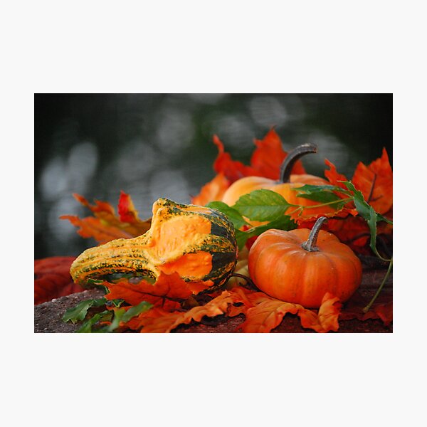 Item preview, Springing into Fall designed and sold by Sunshinesmile83.