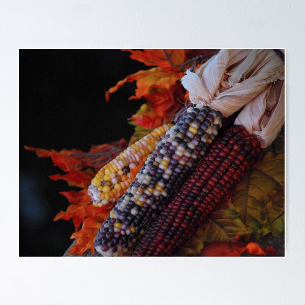 Artikelvorschau, Fall Harvest entworfen und verkauft von Sunshinesmile83.