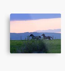Wait For Me! Metal Print