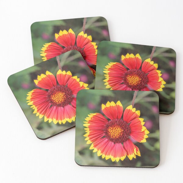 Item preview, Full colour designed and sold by Seashorepics.