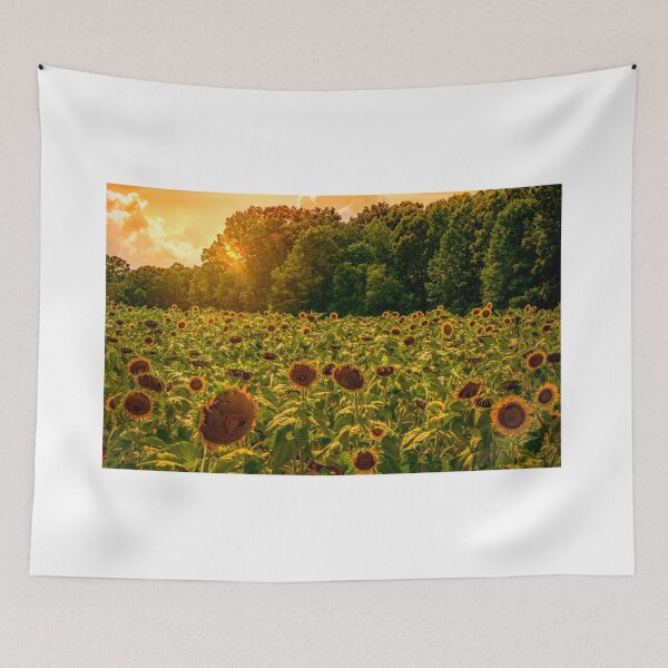 Item preview, Sunflower Power designed and sold by OLPhoto.