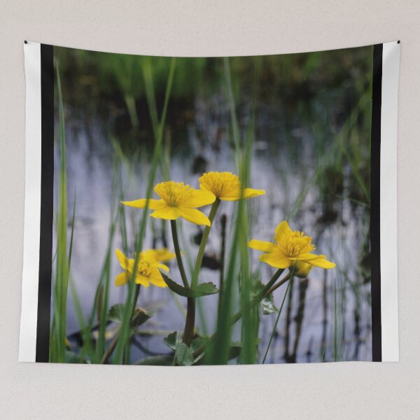 Item preview, Marigolds on swamp designed and sold by CasparTheRiddle.