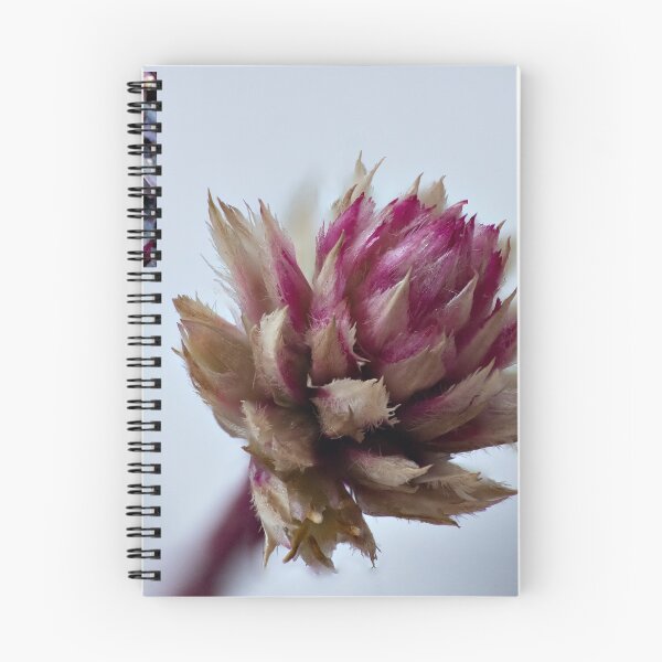 Item preview, Alternanthera brasiliana designed and sold by DPalmer.