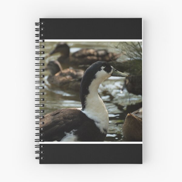 Item preview, Black and White Duck designed and sold by LizardSpirit.