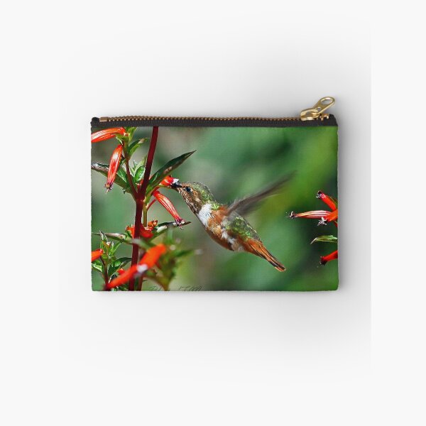 Item preview, Humming-bird designed and sold by Fran0723.