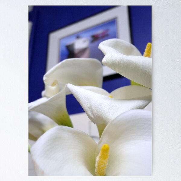 Item preview, A touch of colour  designed and sold by robynbrody.