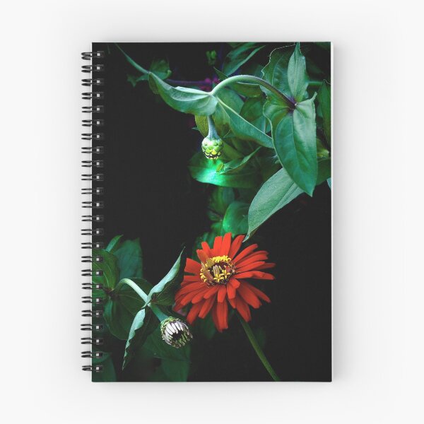 Item preview, Streetlamp Zinnia designed and sold by Adam Bykowski.