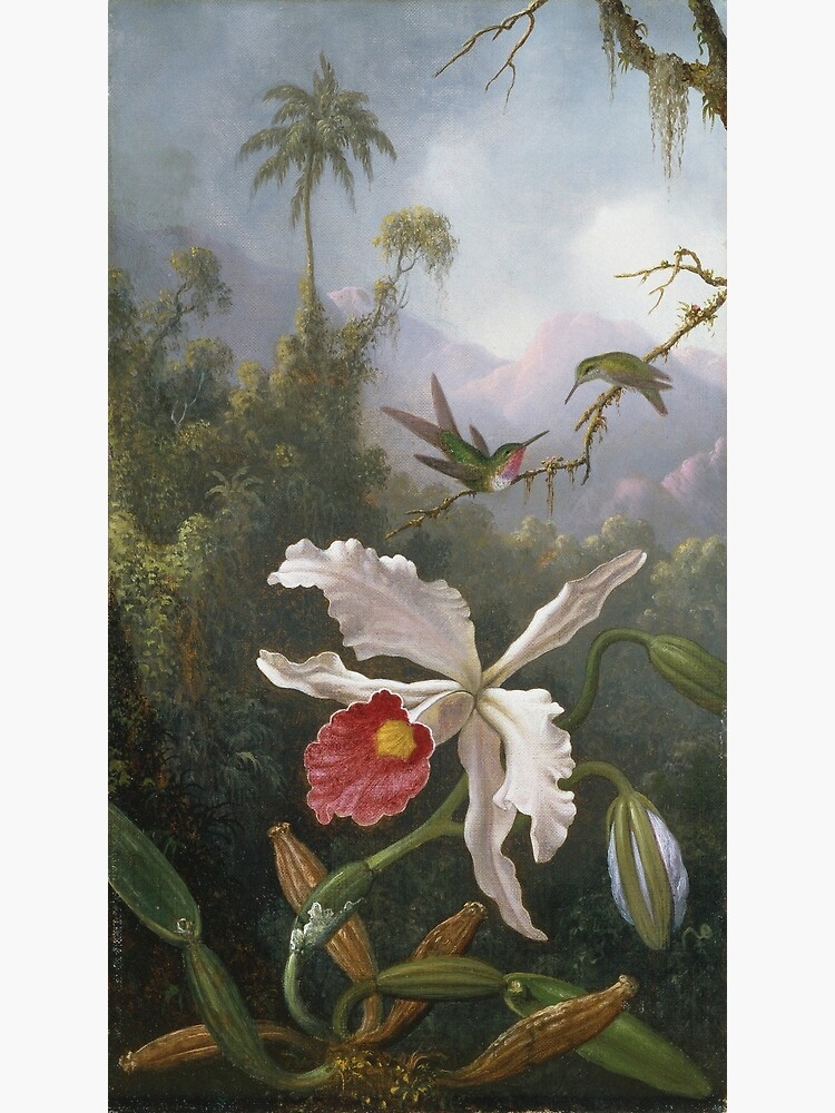 Martin Johnson Heade Two Hummingbirds Above A White Orchid Poster