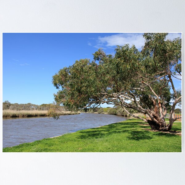 Item preview, Tarwin River designed and sold by Greg Thomas.