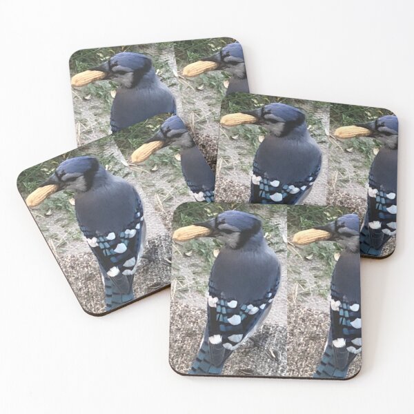 Item preview, Blue Jay with a Peanut designed and sold by ellj96.