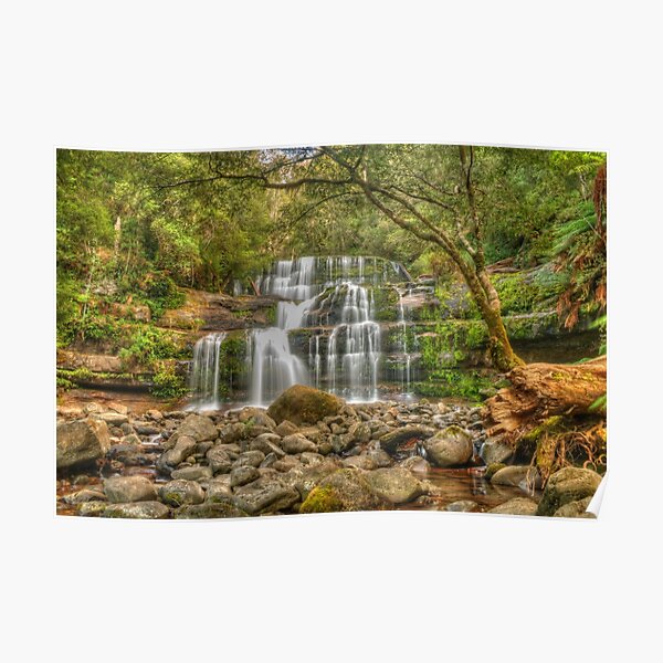 Liffey Falls in Tasmania Poster