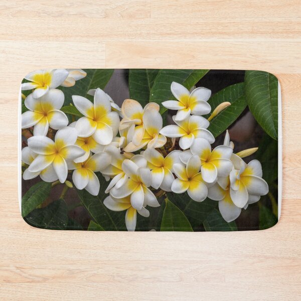 Item preview, White Frangipani designed and sold by iCimages.net.