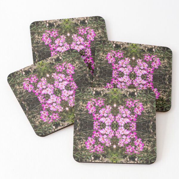 Item preview, Geraldton Wax Squared designed and sold by KazM.