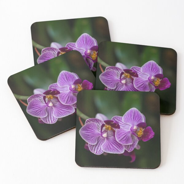 Item preview, Purple Striped Phalaenopsis designed and sold by mljdwhite.