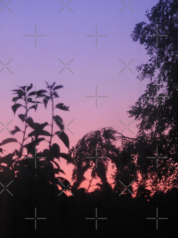 Sunset in the trees by tribbledesign