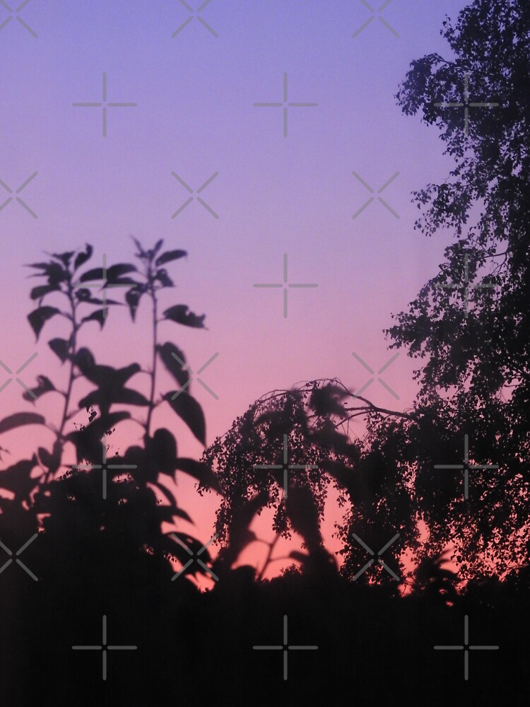 Sunset in the trees by tribbledesign