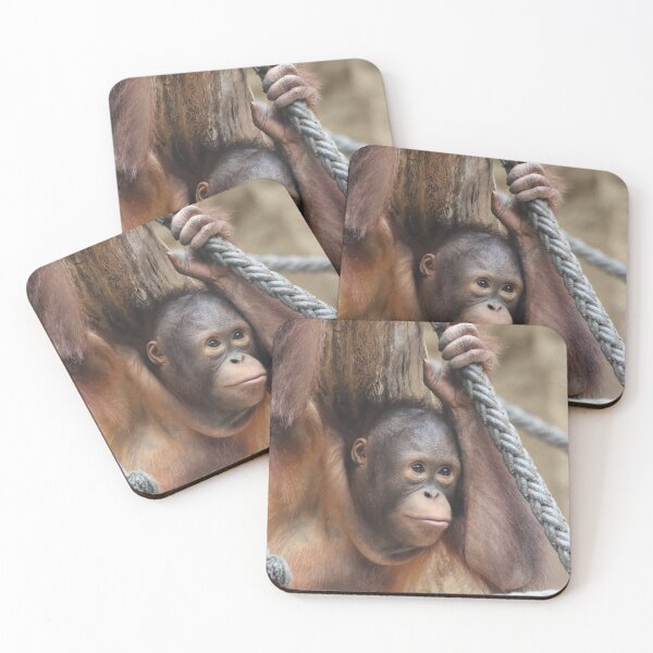 Item preview, OrangUtan 002 designed and sold by JAMFoto.