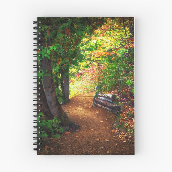 Item preview, Path to Enlightenment, Lake Pink,  designed and sold by Yannik Hay.