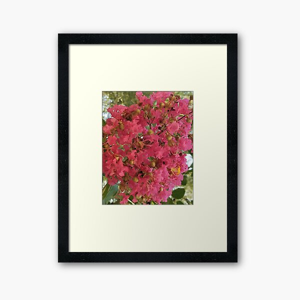Item preview, Crepe Myrtle Closeup designed and sold by MooseDogPhotos.