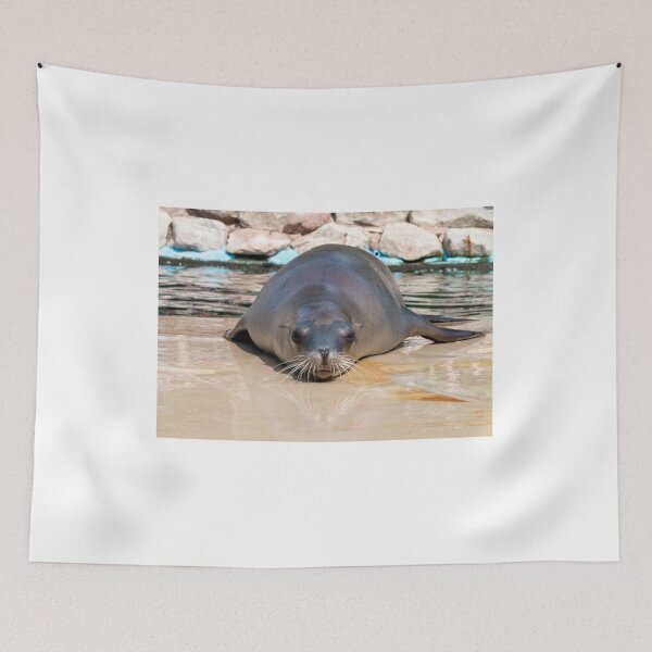 Item preview, Whiskery Reflection designed and sold by lindsey partridge.