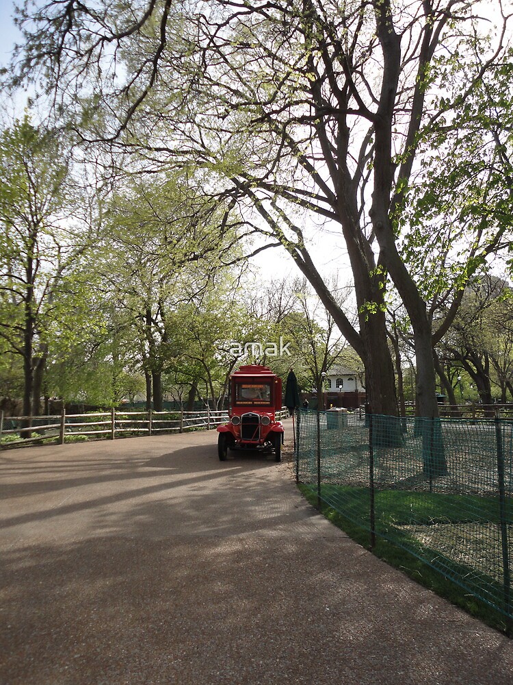 Red car by amak