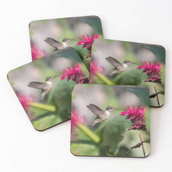 Item preview, Ruby-throated Hummingbird 2019-1 designed and sold by Thomasyoung.