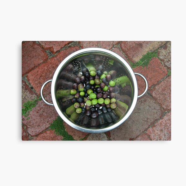 Aperçu de l'œuvre Last of the olive crop créée et vendue par Maggie Hegarty.