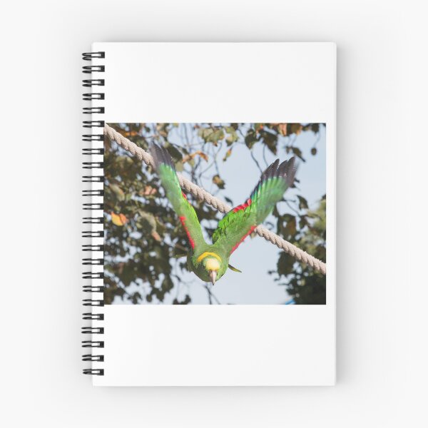 Item preview, Green Arrow designed and sold by lindsey partridge.