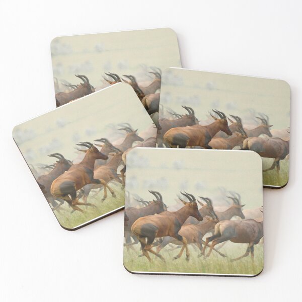 Item preview, Topi on the move! designed and sold by Anthony Goldman.