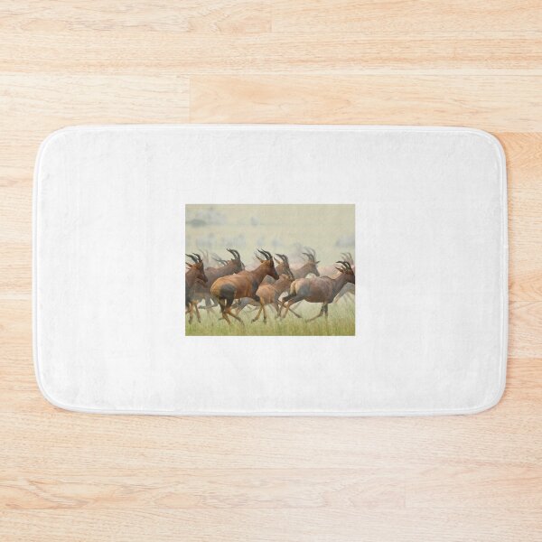 Item preview, Topi on the move! designed and sold by Anthony Goldman.