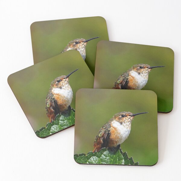 Item preview, Humming-bird designed and sold by Fran0723.