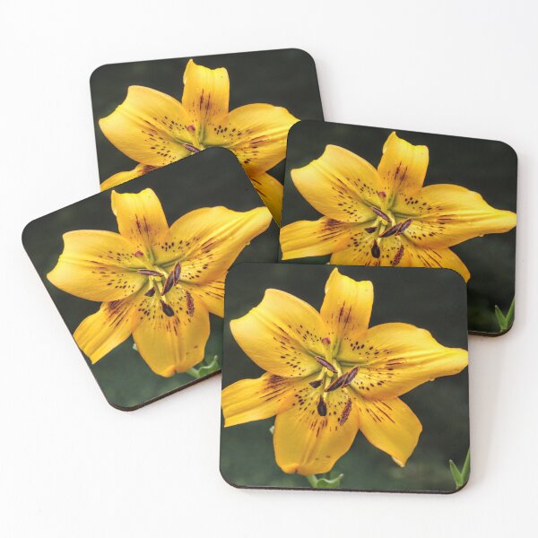 Item preview, Pure yellow designed and sold by Seashorepics.