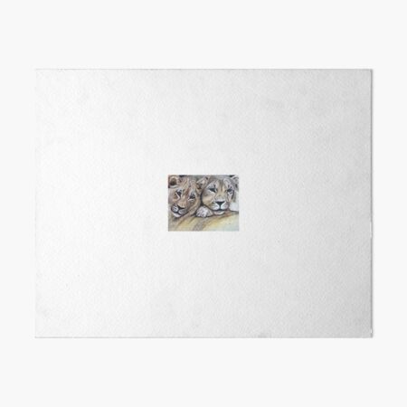 Lions Resting Art Board Print