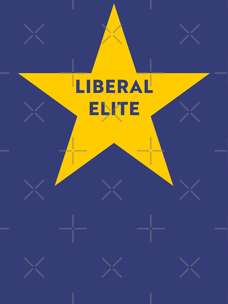 Thumbnail 7 of 7, Essential T-Shirt, NDVH Remainer Liberal Elite designed and sold by nikhorne.