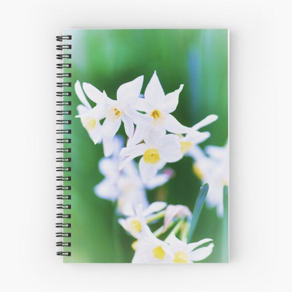Item preview, Springtime and Jonquils designed and sold by imaginethis.